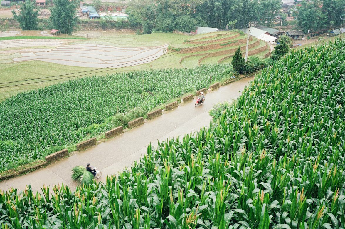 Agricultural Enterprises